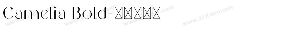Camelia Bold字体转换